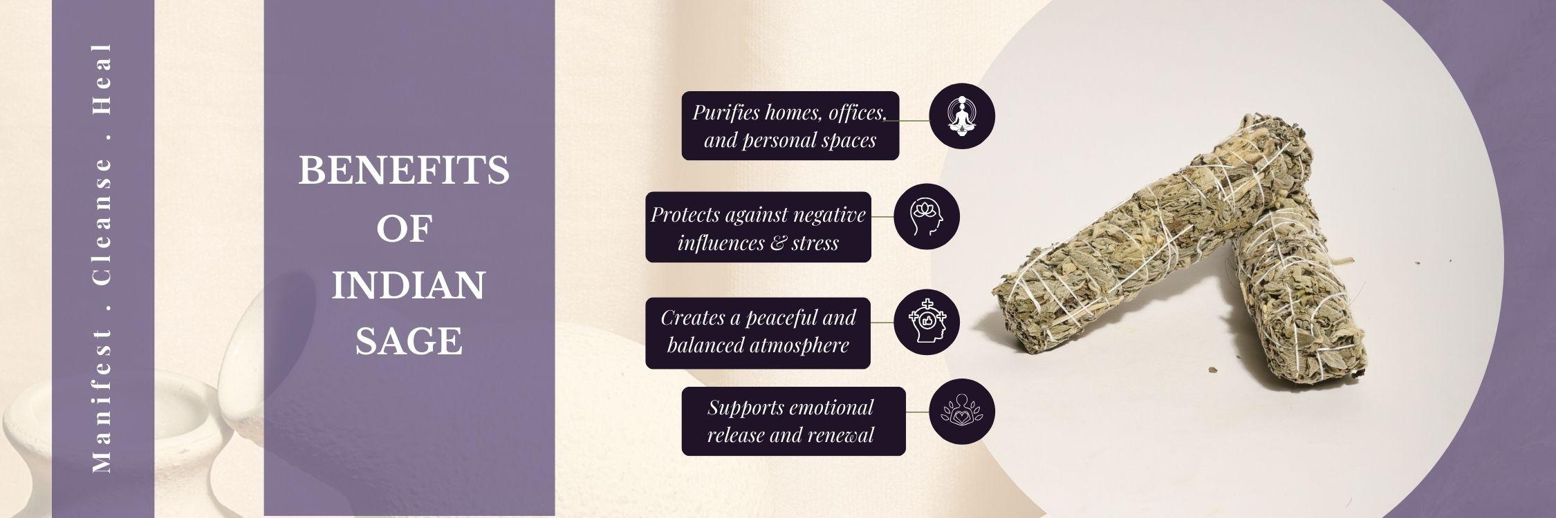 Benefits of Californian Sage