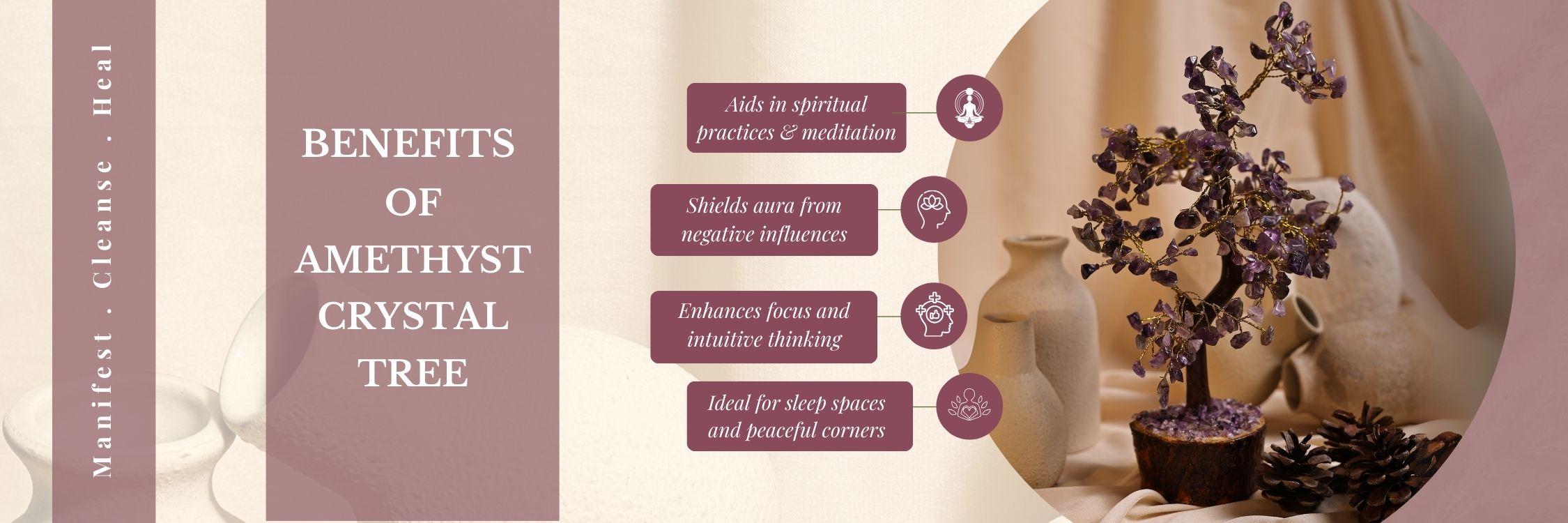 Benefits of Californian Sage