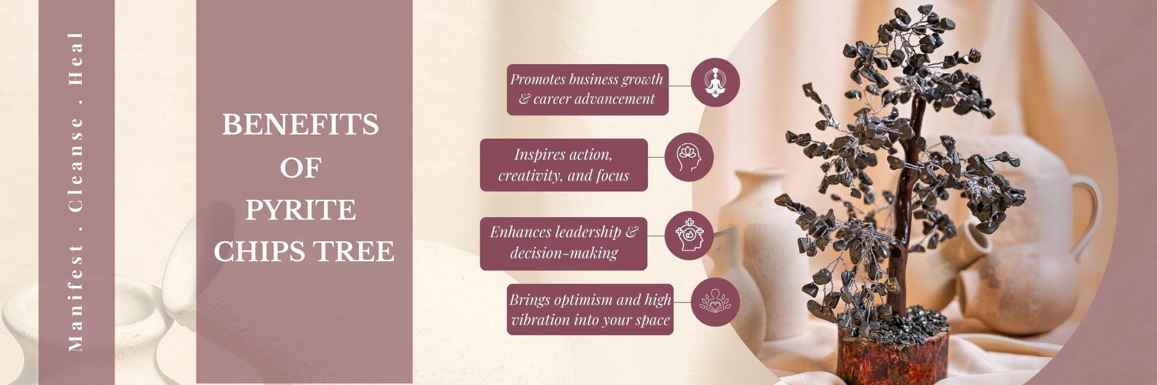 Benefits of Californian Sage