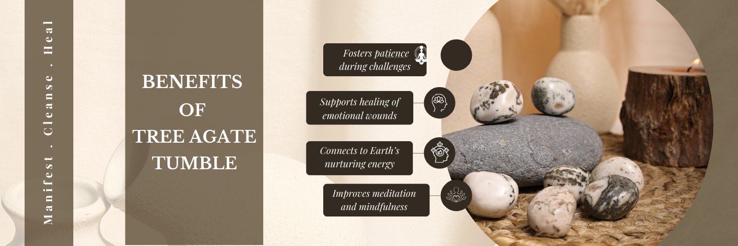 Benefits of Californian Sage