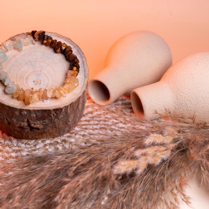 Wealth and Abundance Chip Bracelet | Prosperity Magnet & Success