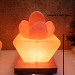 Hawan Kund Himalayan Rock Salt Crafted Lamp | Purity & Protection