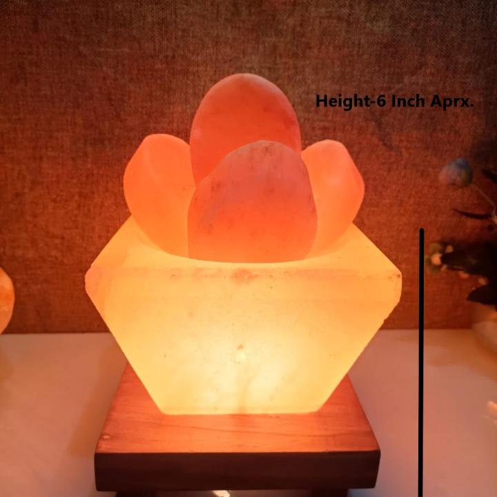 Hawan Kund Himalayan Rock Salt Crafted Lamp | Purity & Protection