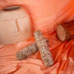 Indian Sage | Cleansing & Grounding