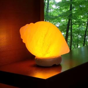 Shankh Shaped Himalayan Rock Salt Crafted Lamp | Purity & Spirituality