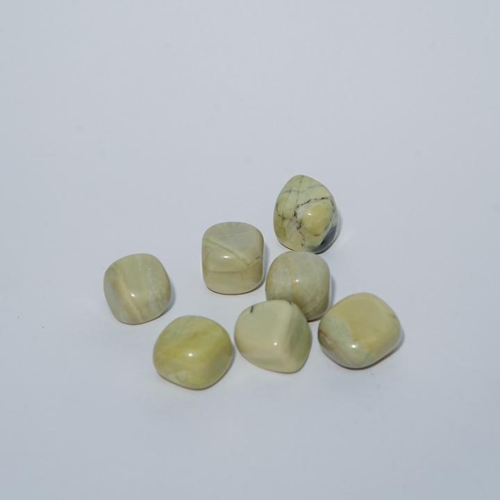 Serpentine Tumble | Transformation & Healing