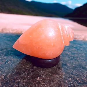 Shankh Shaped Himalayan Rock Salt Crafted Lamp | Purity & Spirituality