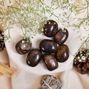 Bronzite Tumble | Grounding & Confidence