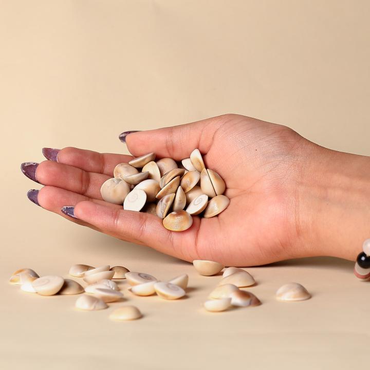 Gomati Chakra | Divine Protection & Fortune