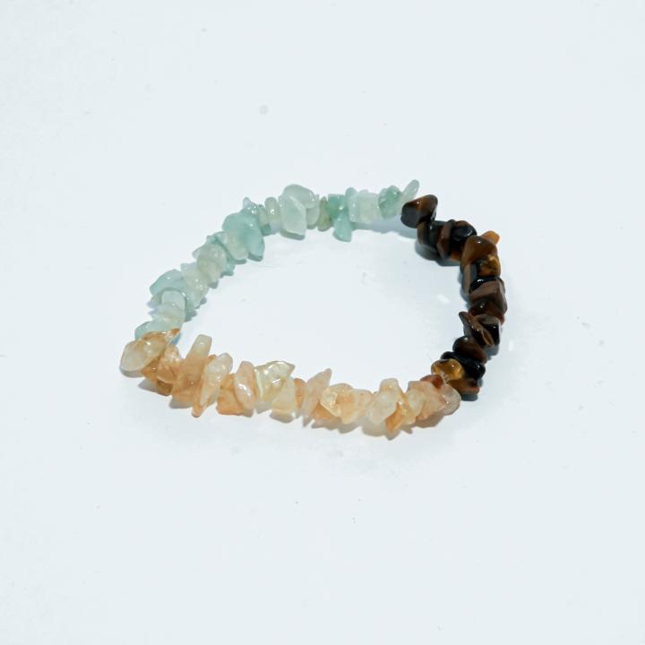 Wealth and Abundance Chip Bracelet | Prosperity Magnet & Success