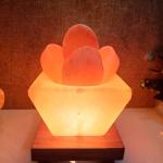 Hawan Kund Himalayan Rock Salt Crafted Lamp | Purity & Protection