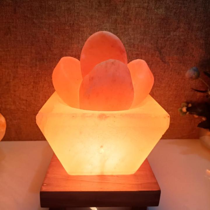 Hawan Kund Himalayan Rock Salt Crafted Lamp | Purity & Protection